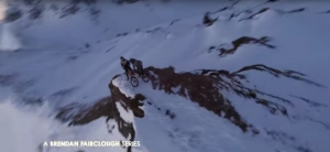 Brendan Fairclough’s „A Dog’s Life Diaries“