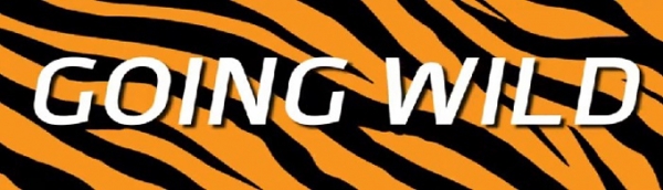 ZANIER Design-Contest