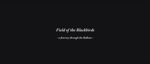 Field of the Blackbirds