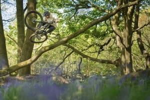 Das neue Santa Cruz 5010