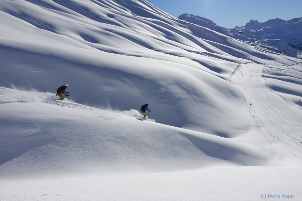 Arlberg-Powder mit Olympiasieger