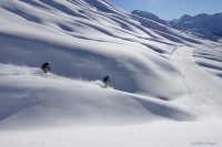 Arlberg-Powder mit Olympiasieger