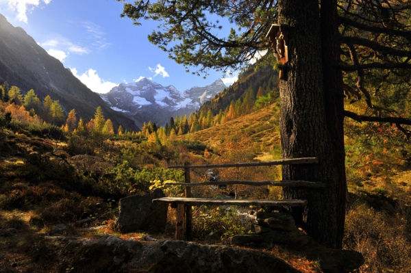 HERBSTSKILAUF IN MAYRHOFEN-HIPPACH