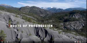 Roots of Progression